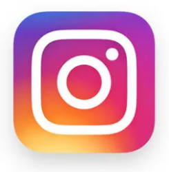 Insta icon for website