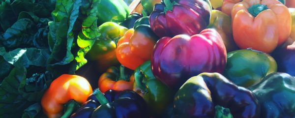 Margaret-River-Farmers-Market