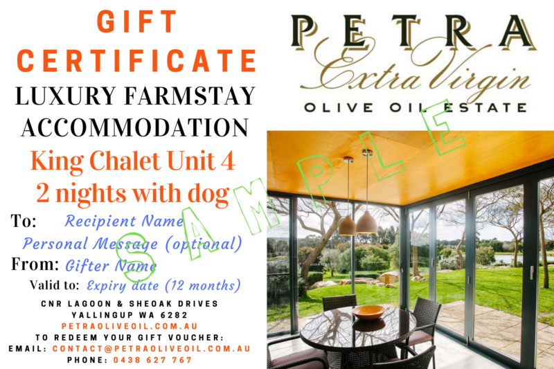 Petra Accommodation Gift Certificate KING CHALET Unit 4 w dog 1