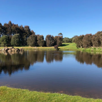 Petra Estate Looking Across Dam