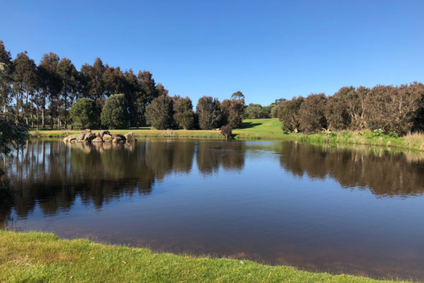 Petra Estate Looking Across Dam