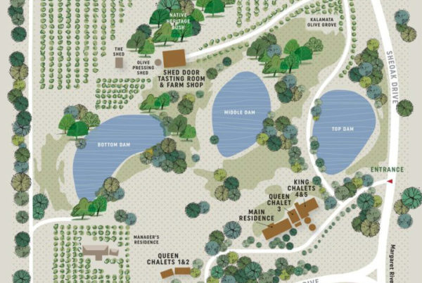 Petra Olive Oil Estate Site Map